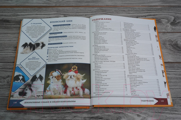 Изображение товара Энциклопедия АСТ Самая лучшая иллюстрированная энциклопедия. Собаки (Барановская И.)