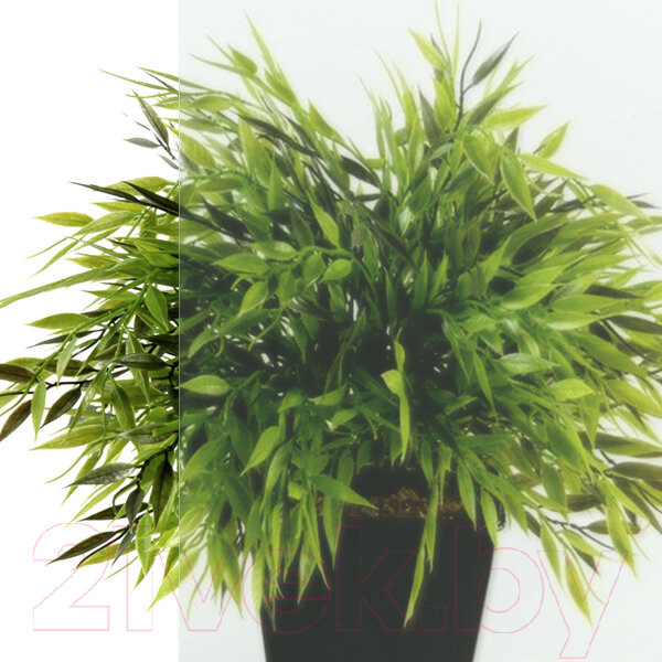 Изображение товара Душевой уголок Triton Вента-Блэк 80x80 (черный, без поддона)