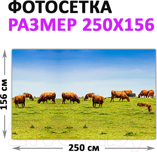 Изображение товара Фотофасад Arthata Поле / FotoSetka-250-21 (250x156)