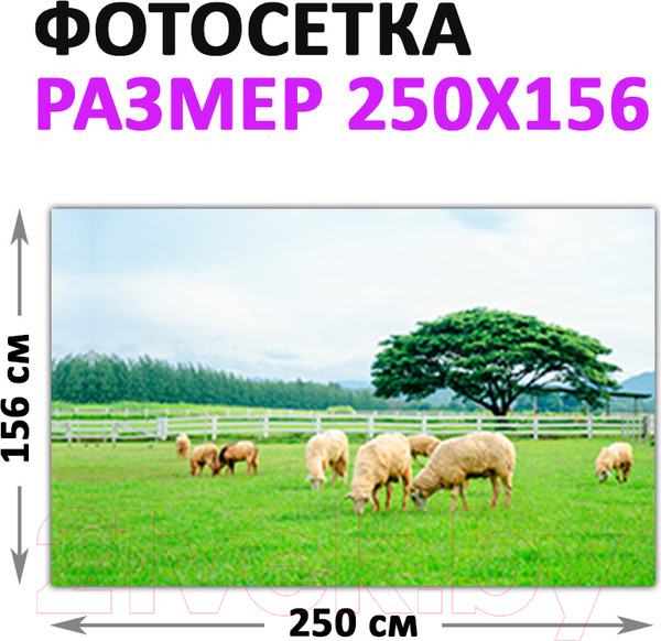 Изображение товара Фотофасад Arthata Поле / FotoSetka-250-22 (250x156)