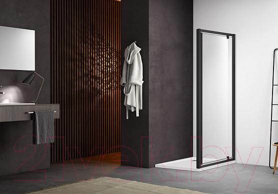 Изображение товара Душевая дверь Aquatek 100x200 / AQ ARI PI 10020BL (черный/прозрачное стекло)