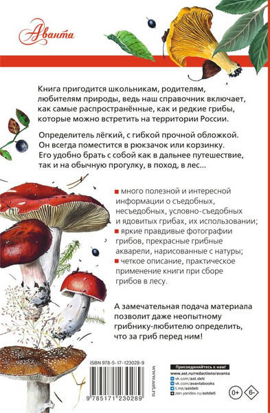 Изображение товара Энциклопедия АСТ Грибы России. Определитель (Кривошеев Станислав)