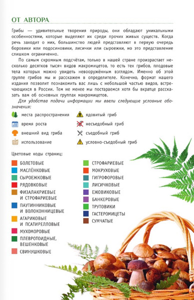 Изображение товара Энциклопедия АСТ Грибы России. Определитель (Кривошеев Станислав)