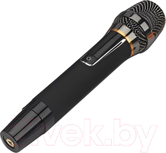 Изображение товара Радиосистема микрофонная Biema USB-101