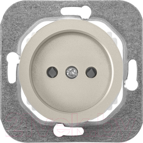 Изображение товара Розетка Bylectrica РС16-1401 (шампань)