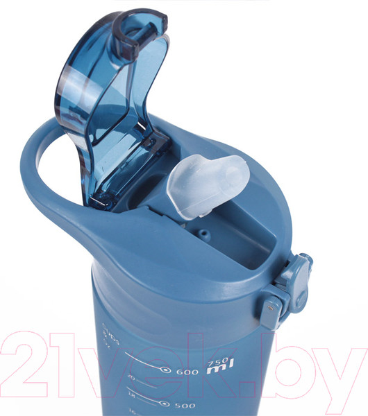 Изображение товара Бутылка для воды Darvish DV-H-1605-1