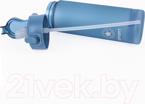 Изображение товара Бутылка для воды Darvish DV-H-1605-1