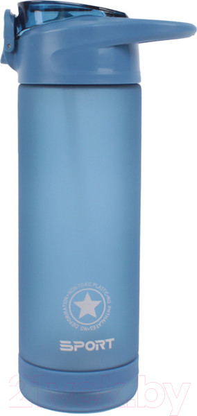 Изображение товара Бутылка для воды Darvish DV-H-1605-1