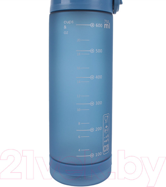 Изображение товара Бутылка для воды Darvish DV-H-1605-1