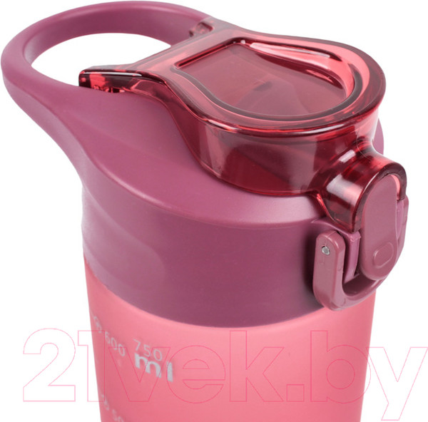 Изображение товара Бутылка для воды Darvish DV-H-1605-2