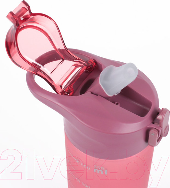 Изображение товара Бутылка для воды Darvish DV-H-1605-2