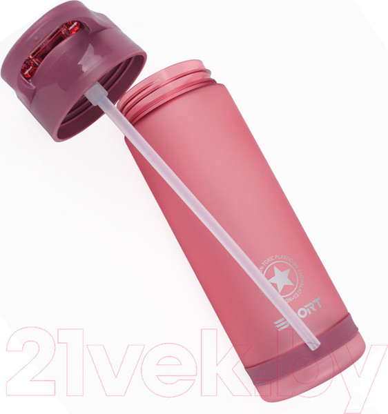 Изображение товара Бутылка для воды Darvish DV-H-1605-2