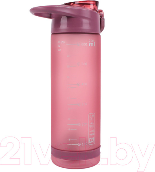 Изображение товара Бутылка для воды Darvish DV-H-1605-2