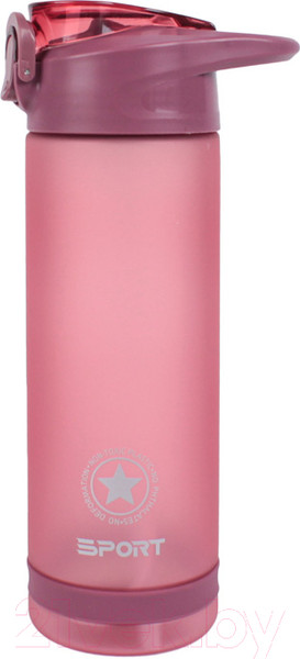 Изображение товара Бутылка для воды Darvish DV-H-1605-2