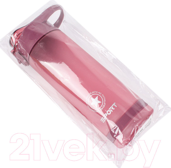 Изображение товара Бутылка для воды Darvish DV-H-1605-2