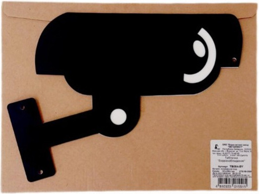 Изображение товара Табличка информационная для дома GALA Видеонаблюдение TB004-BY