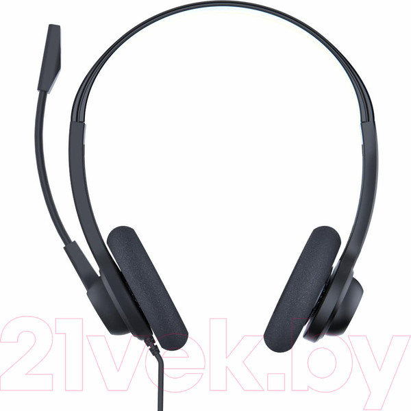 Изображение товара Наушники-гарнитура Accutone MB220