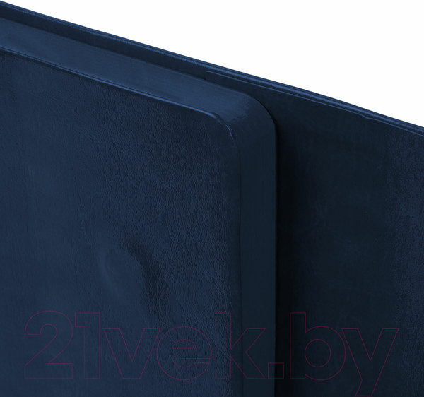 Изображение товара Ежедневник Brauberg Magnetic X / 113279 (темно-синий)