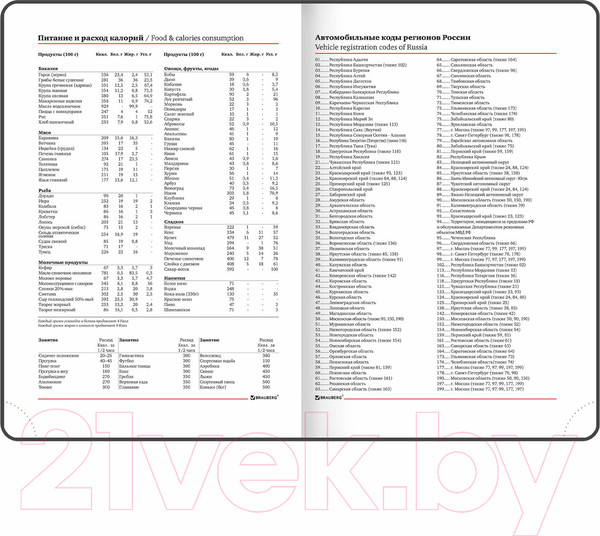 Изображение товара Ежедневник Brauberg Magnetic X / 113280 (коричневый)