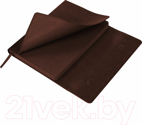 Изображение товара Ежедневник Brauberg Magnetic X / 113280 (коричневый)