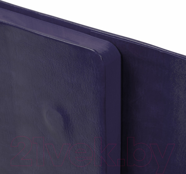 Изображение товара Ежедневник Brauberg Magnetic X / 113282 (фиолетовый)