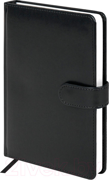 Изображение товара Ежедневник Galant Ritter / 114464 (160л, черный)