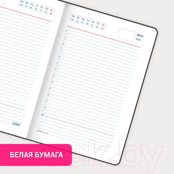Изображение товара Ежедневник Galant Ritter / 114464 (160л, черный)