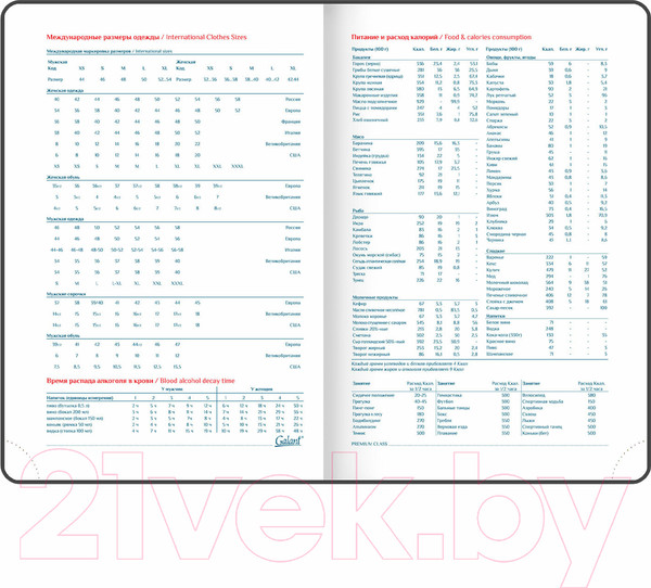 Изображение товара Ежедневник Galant Ritter / 114464 (160л, черный)