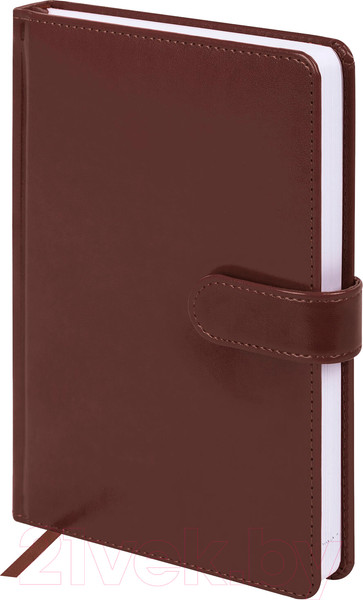 Изображение товара Ежедневник Galant Ritter / 114466 (160л, коричневый)