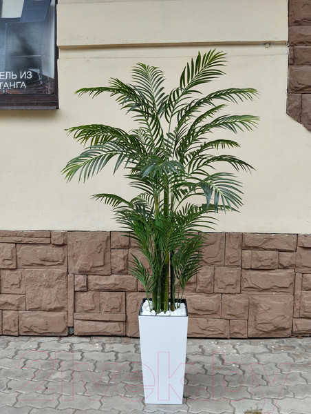 Изображение товара Искусственное растение ForGarden Арека BN10715