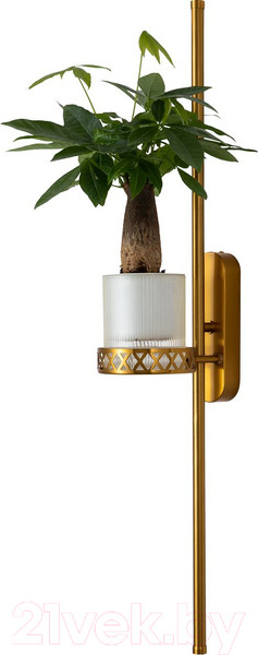 Изображение товара Бра FAVOURITE 4050-2W