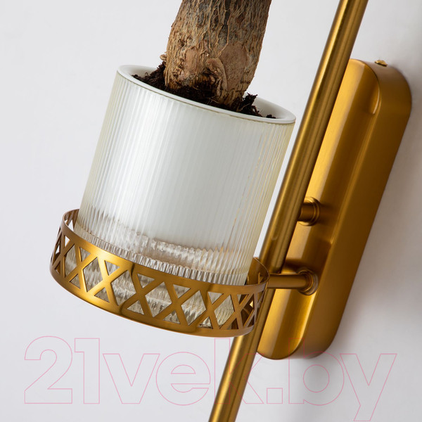 Изображение товара Бра FAVOURITE 4050-2W