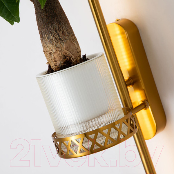 Изображение товара Бра FAVOURITE 4050-2W