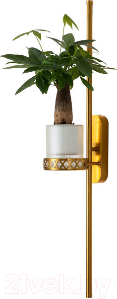 Изображение товара Бра FAVOURITE 4050-2W