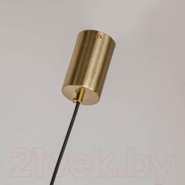 Изображение товара Потолочный светильник F-Promo F-Promo 4061-1P