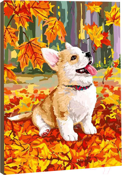 Изображение товара Картина по номерам Школа талантов Корги в осенней листве / 5005795