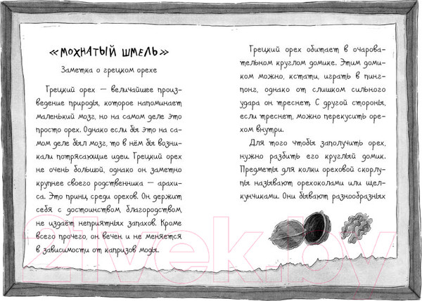 Изображение товара Книга Эксмо Король мошенников (Куннас Н.)