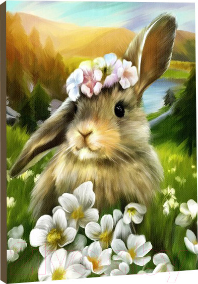 Изображение товара Картина по номерам Школа талантов Заяц / 5248146