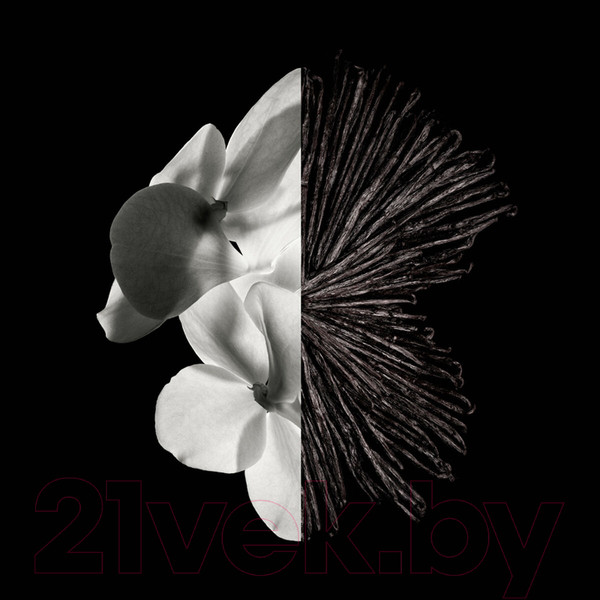 Изображение товара Парфюмерная вода Givenchy Gentleman (60мл)