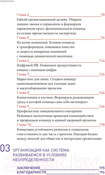Изображение товара Книга Альпина Команда рулит. Управление изменениями в цифровой среде (Набок О.)