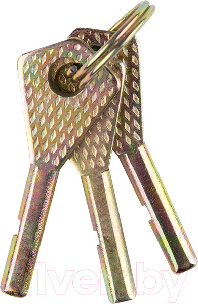 Изображение товара Замок навесной Park 105209