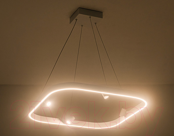 Изображение товара Потолочный светильник Ambrella Comfort / FL5802