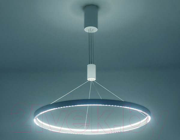 Изображение товара Потолочный светильник Ambrella Comfort / FL5855