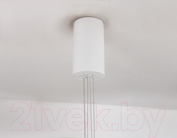 Изображение товара Потолочный светильник Ambrella Comfort / FL5855