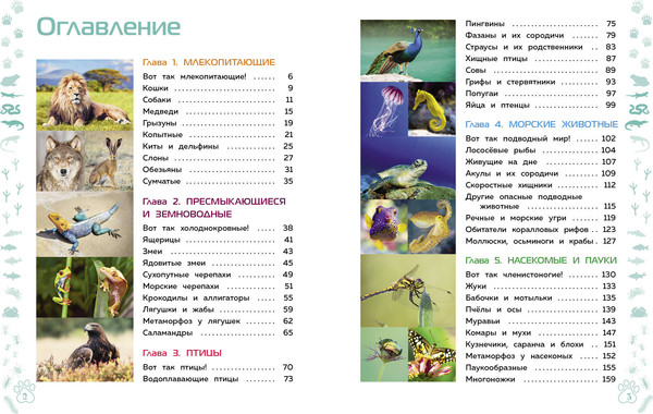 Изображение товара Энциклопедия Эксмо Животные. Большая детская энциклопедия, твердая обложка