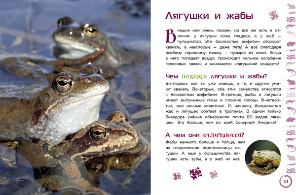 Изображение товара Энциклопедия Эксмо Животные. Большая детская энциклопедия, твердая обложка
