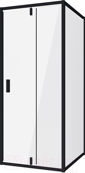 Изображение товара Душевая стенка Niagara NG-A80B 80x190