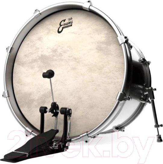 Изображение товара Пластик для барабана Evans BD22CT
