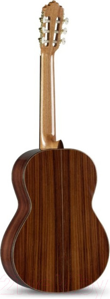 Изображение товара Акустическая гитара Alhambra Classical Conservatory 5P A / 6.209