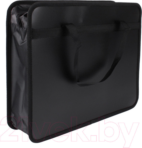 Изображение товара Папка-портфель Пчелка Космос / ПМ-А4-25